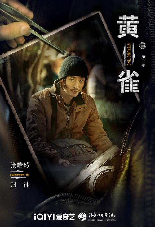 黄雀:反扒警察的刑侦风云 黄雀:反扒警察的刑侦风云