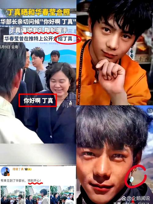 丁真综艺被使唤，明星偷懒网友心疼