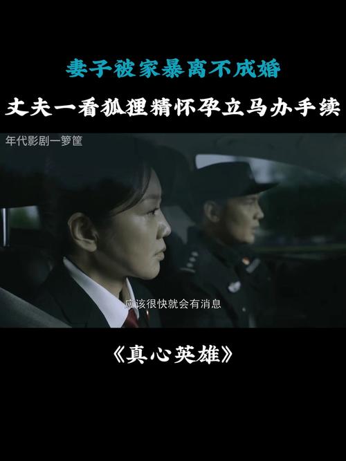 真心英雄：家暴背后，正义之战
