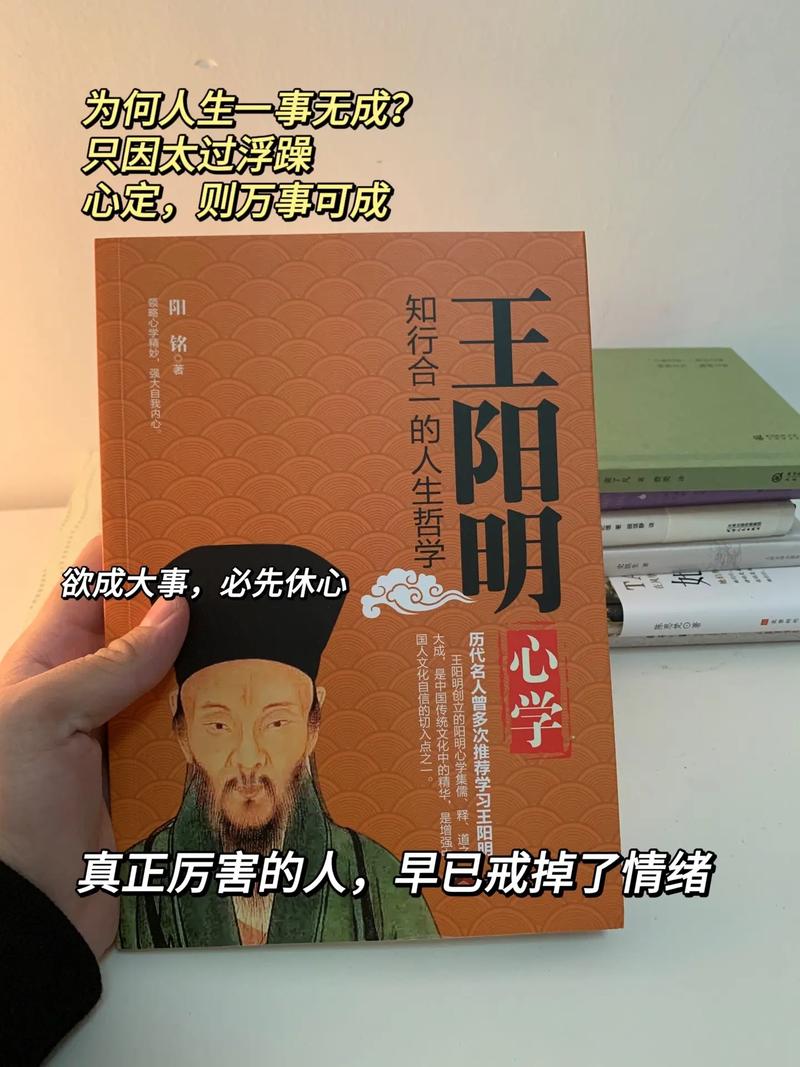 王阳明传奇:心学之光在南赣 王阳明传奇:心学之光在南赣
