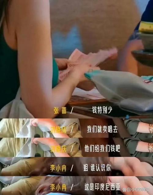 李小冉综艺直言引热议,真实魅力受网友喜爱 李小冉综艺直言引热议,真实魅力受网友喜爱