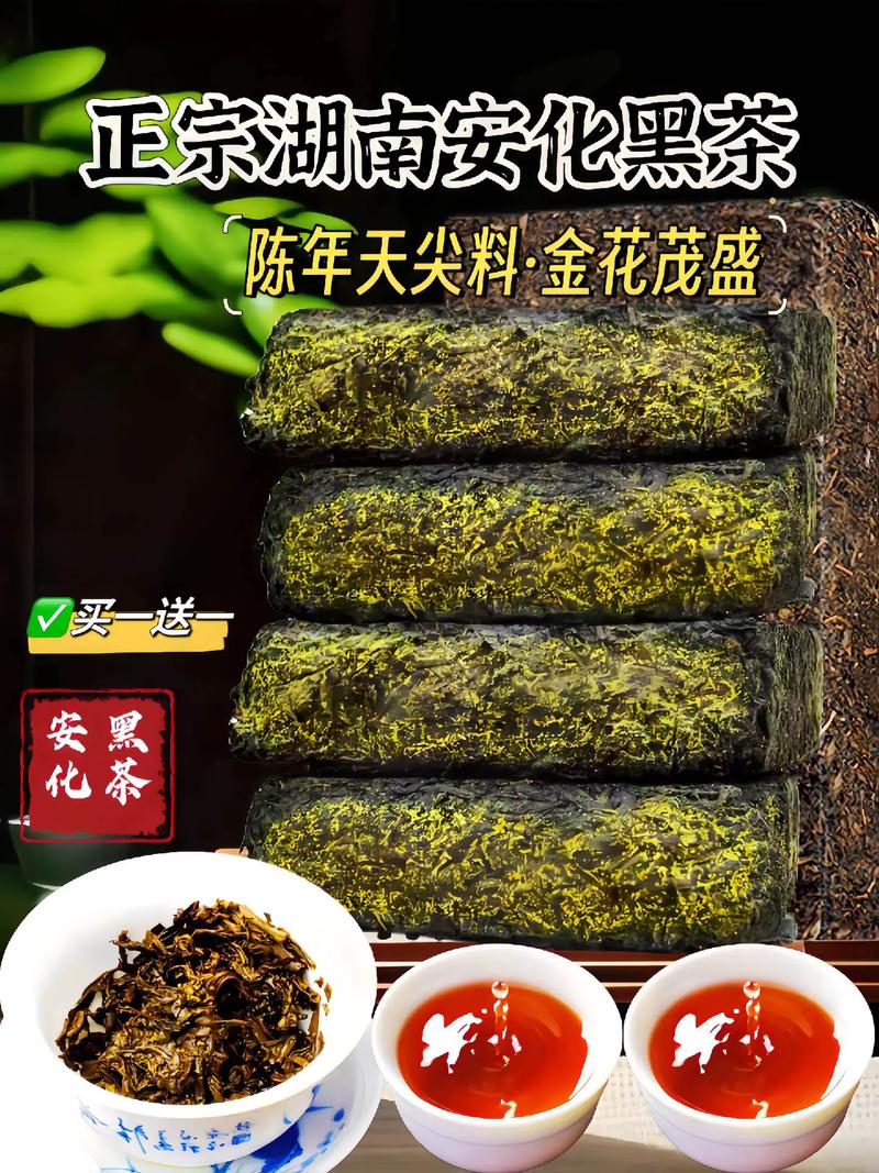 安化黑茶:历史·科技·微生物奥秘 安化黑茶:历史·科技·微生物奥秘