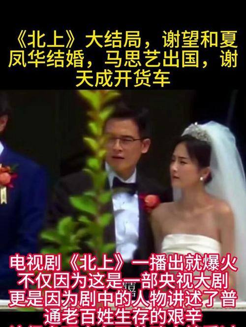 北上:夏凤华与谢望和的职场命运交织 北上:夏凤华与谢望和的职场命运交织