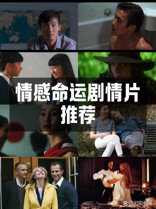 再遇爱情:都市女性情感挣扎与自我救赎 再遇爱情:都市女性情感挣扎与自我救赎