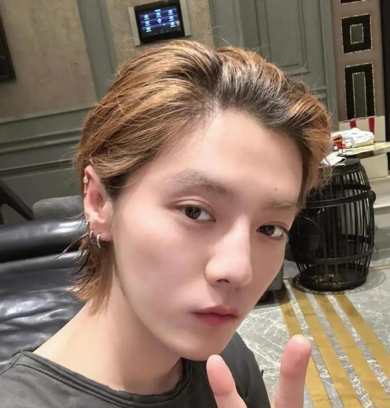 李晨与鹿晗合照引猜测，别太当真