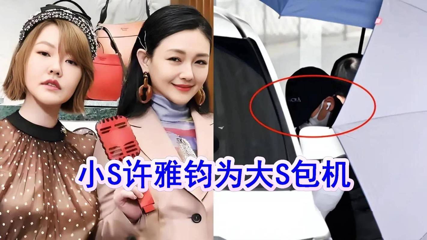 大S豪宅抵押风波:家庭风暴背后的真相 大S豪宅抵押风波:家庭风暴背后的真相