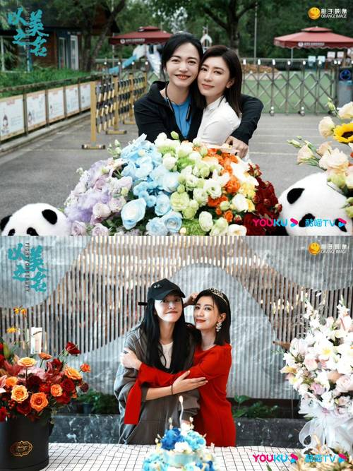 《以美之名》姚晨贾静雯主演,医美剧开播引期待 《以美之名》姚晨贾静雯主演,医美剧开播引期待