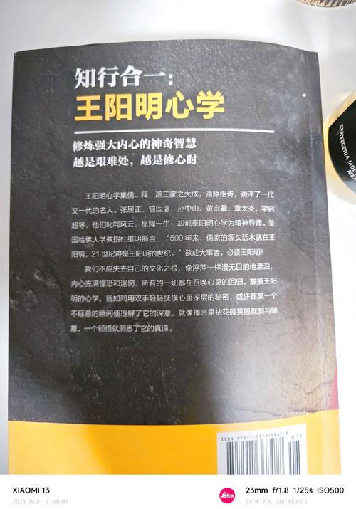 阳明悟道:心学新纪元纪录片 阳明悟道:心学新纪元纪录片