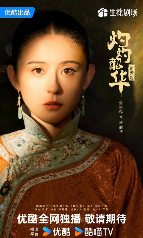《灼灼韶华》8女演员颜值排名 热依扎第六，夏夫人居首！