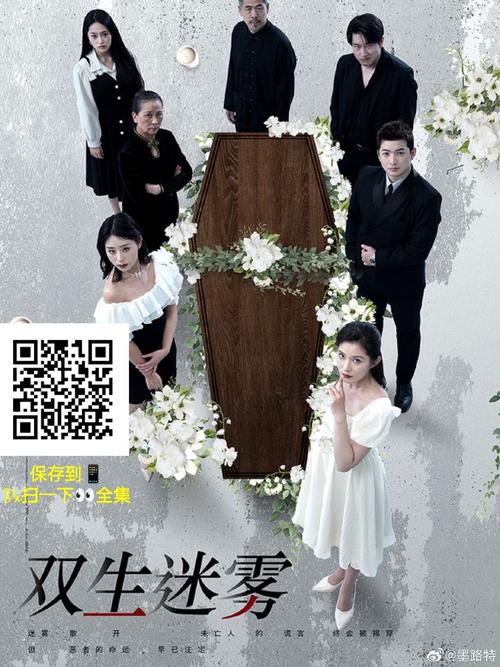 燃罪悬疑剧：双胞胎之谜，真相扑朔迷离