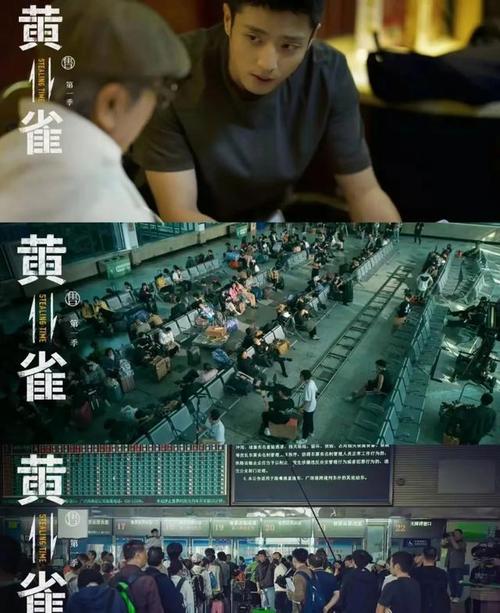 黄雀开播：刑侦剧黑马崛起，郭京飞秦岚主演