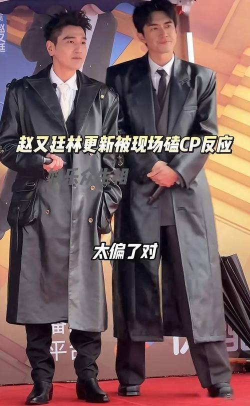 林更新赵又廷综艺爆笑时刻:喜剧梗王助力品牌热 林更新赵又廷综艺爆笑时刻:喜剧梗王助力品牌热