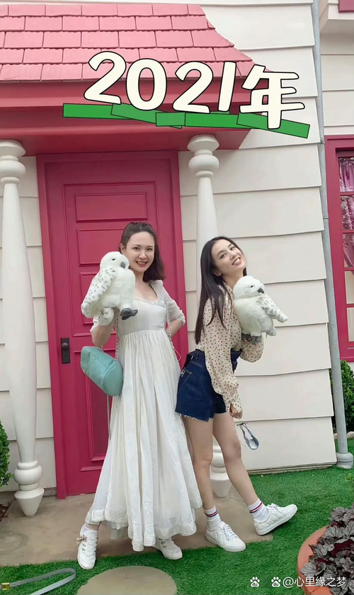 程潇母女同框真人秀，黄圣依离婚后首亮相，节目引期待