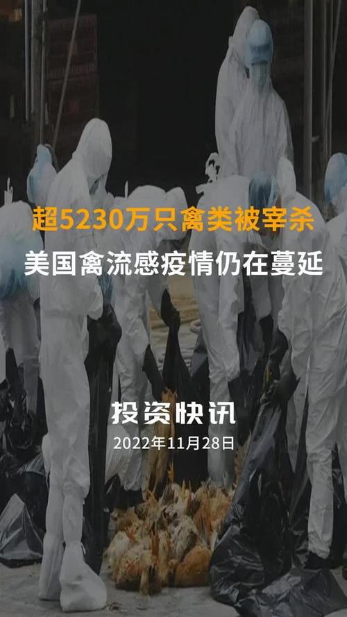 财富流感:富人世界惊悚逃亡 财富流感:富人世界惊悚逃亡