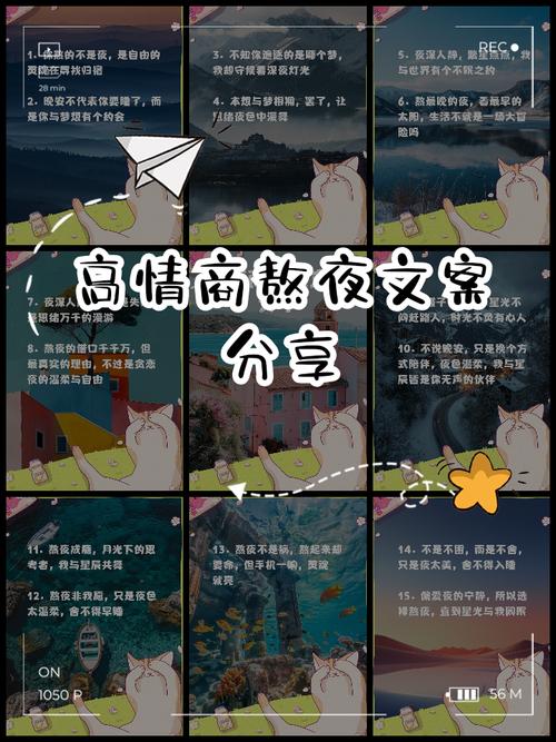 熬夜必看!3部尺度大又经典,扒透人性! 熬夜必看!3部尺度大又经典,扒透人性!