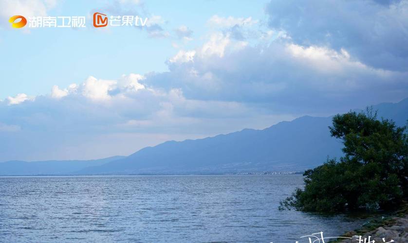 芒果TV新剧破同质化：真实生活质感治愈人心