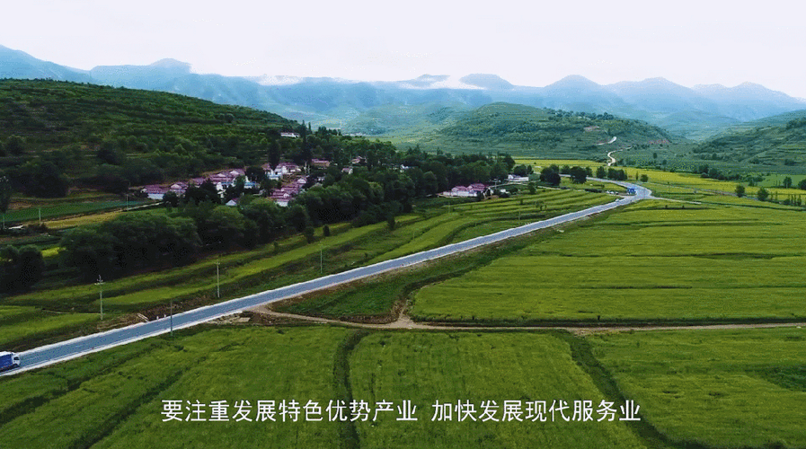 《青山是故乡》央视首播:绿色创业,共筑家乡梦 《青山是故乡》央视首播:绿色创业,共筑家乡梦