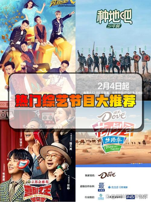 今年综艺市场火热，新节目受欢迎，观众期待更多真实创新内容