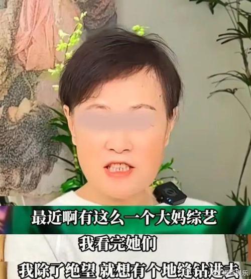 向太陈岚与史晓燕娱乐圈争议：名利场风波引热议