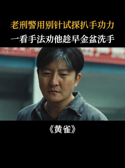 《黄雀》移动支付时代下的扒手猎捕与财富分配深思 《黄雀》移动支付时代下的扒手猎捕与财富分配深思