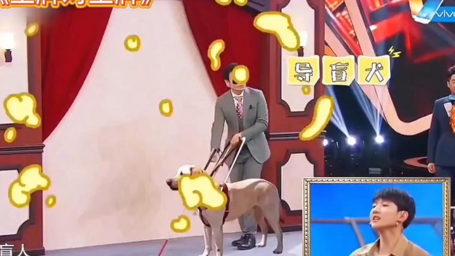 娱乐圈独家沈腾私生活杨幂心态王源商演等热点追踪 娱乐圈独家沈腾私生活杨幂心态王源商演等热点追踪