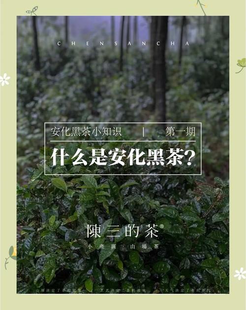 千年古道·匠心传承：安化黑茶纪录片
