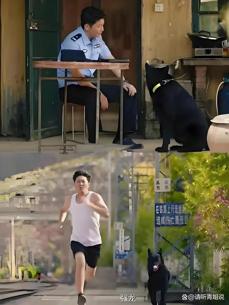 2025央视爆款剧《小站警事》:郑晓龙执导,郭京飞主演,聚焦基层人生! 2025央视爆款剧《小站警事》:郑晓龙执导,郭京飞主演,聚焦基层人生!