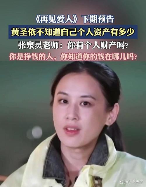 再见爱人4结局揭秘：婚姻抉择与财产分割热议