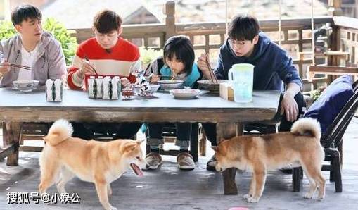《向往的生活》第八季开播，体验慢生活，嘉宾真实成长，让人感觉很舒服