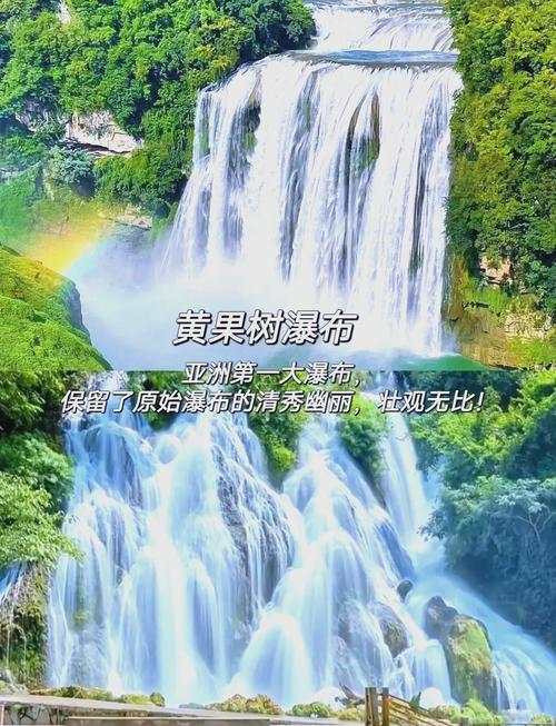 白莲花苦尽柑来引热浪，清明假期亚洲旅行新潮流
