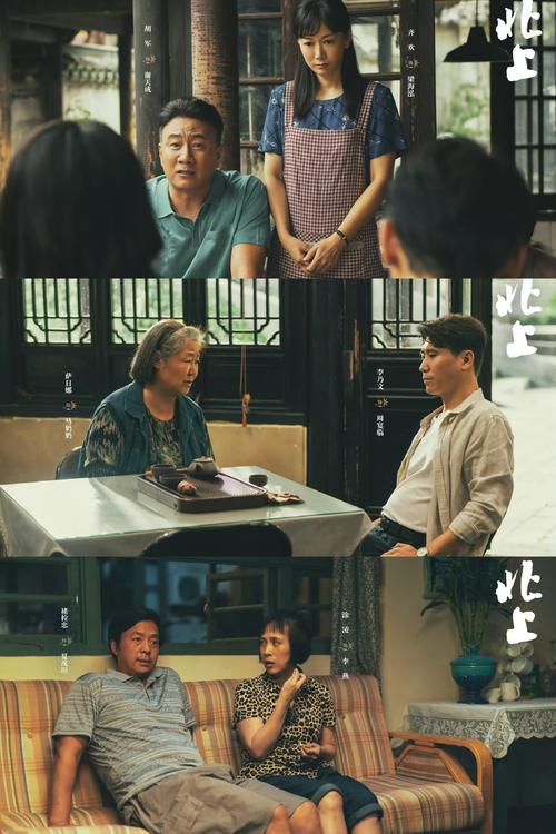 北上:运河背景下的年代剧争议与融合探讨 北上:运河背景下的年代剧争议与融合探讨