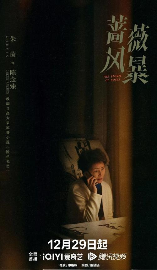蔷薇风暴:双面爱恨,商战情仇 蔷薇风暴:双面爱恨,商战情仇