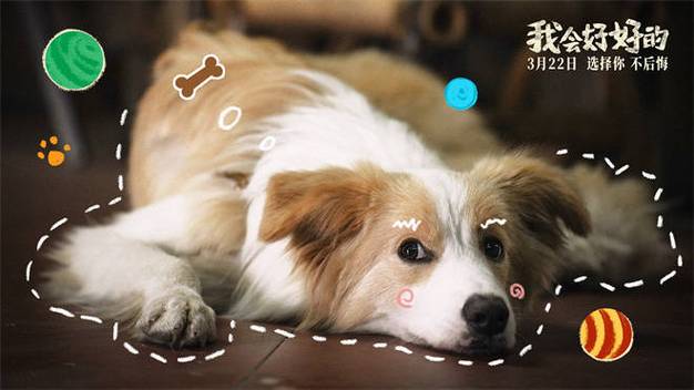 《我会好好�新特辑》狗狗演员幕后故事 《我会好好�新特辑》狗狗演员幕后故事