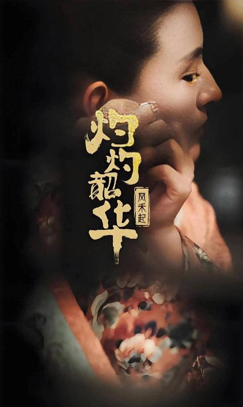 《灼灼韶华》 韶华嫁大顺，遭遇不幸后开药铺自力更生