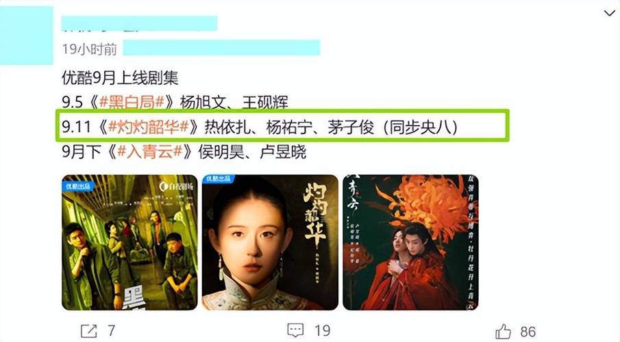 《灼灼韶华》 创业爽剧，褚韶华逆袭人生！