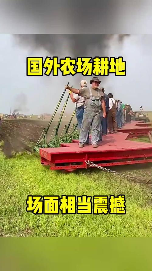 年轻人爱上种地，国外夫妻荒地变农场，尊重自然收获美好