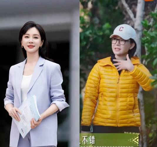 陈数《花少7》非洲反内卷,坦然接纳疲惫获力量 陈数《花少7》非洲反内卷,坦然接纳疲惫获力量
