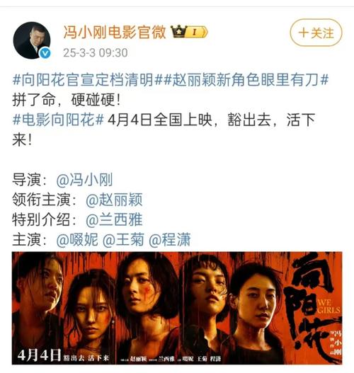 向阳·花:赵丽颖主演姐妹情深电影 向阳·花:赵丽颖主演姐妹情深电影