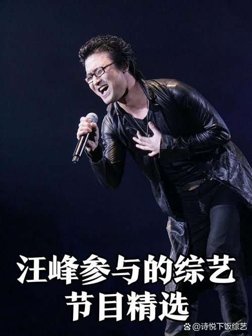 汪峰加盟桃花坞,综艺中见人生平衡,期待精彩表现! 汪峰加盟桃花坞,综艺中见人生平衡,期待精彩表现!
