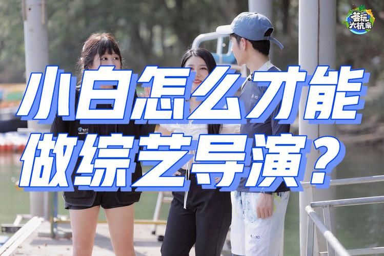 团播新势力：综艺人转型挑战与机遇解析