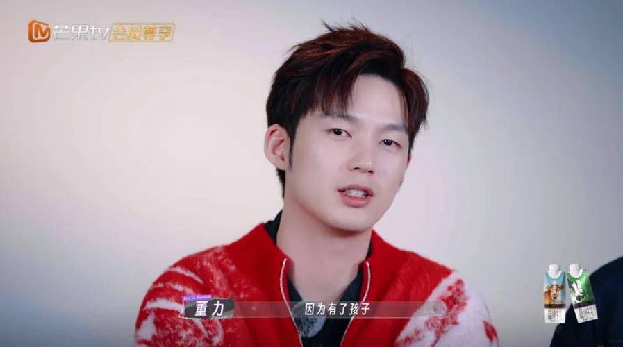 董力综艺路:从争议到自黑,奥运冠军转型艺人背后的故事 董力综艺路:从争议到自黑,奥运冠军转型艺人背后的故事