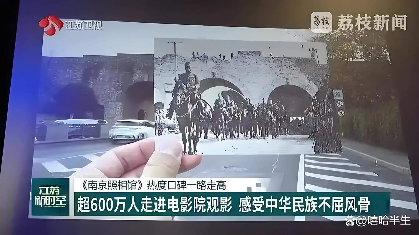 《南京照相馆》震撼日本，《731》受阻反遭重击