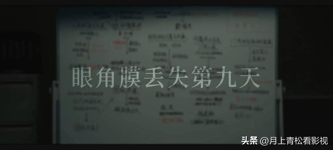 《黄雀》剧情反转高潮,悲情命运引人深思 《黄雀》剧情反转高潮,悲情命运引人深思