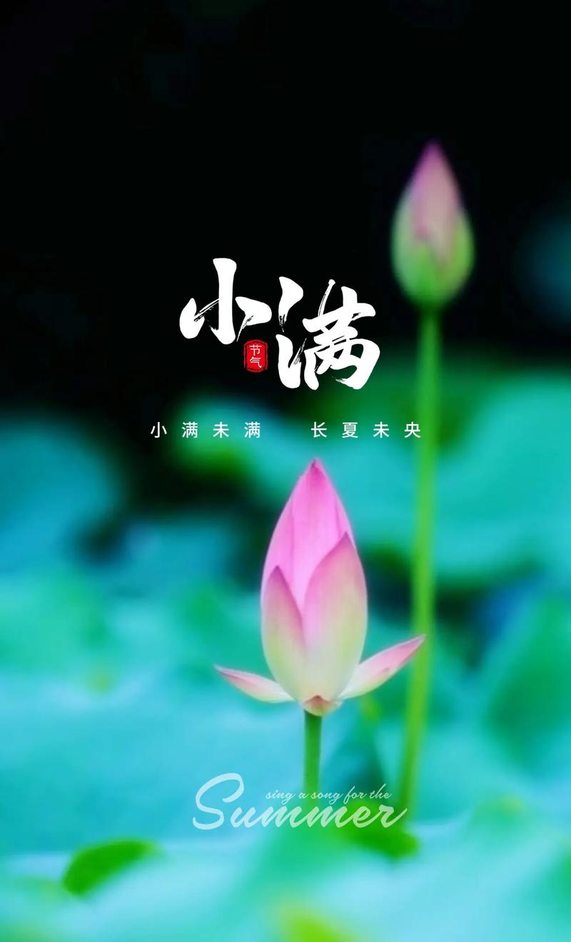 小满:中年生活困境与幸福坚守 小满:中年生活困境与幸福坚守