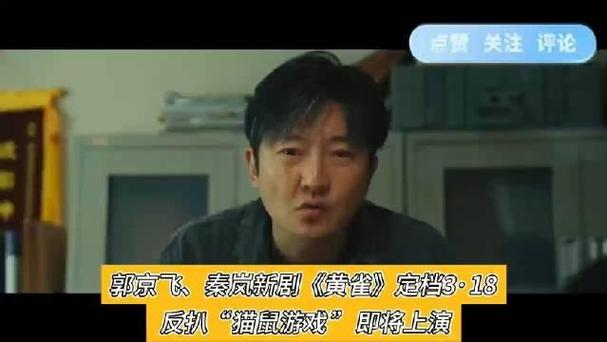 《黄雀》反扒剧收视爆表，悬疑硬核引思考