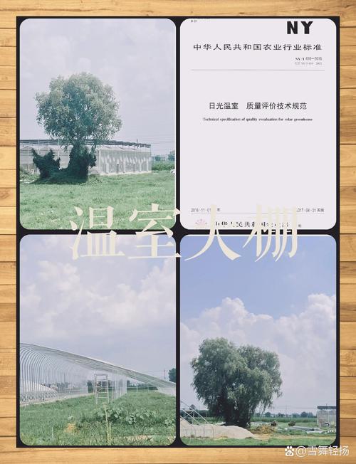 农业综艺热潮:探索田园魅力与城乡认知差距 农业综艺热潮:探索田园魅力与城乡认知差距