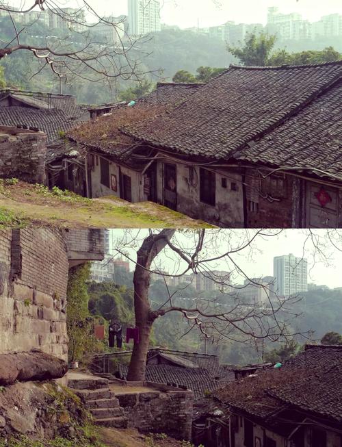 CCTV纪录片揭秘大巴山：盐道中药长寿文化探秘