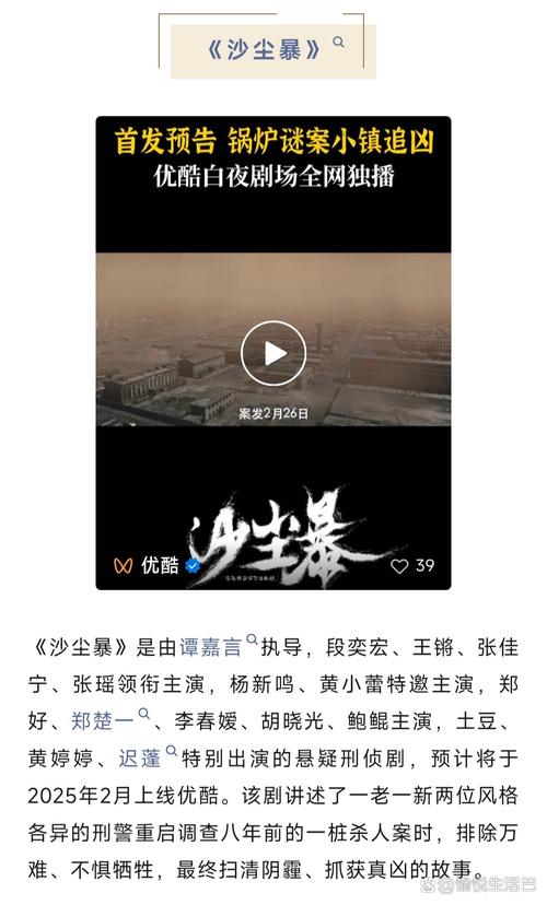 沙尘暴悬疑网剧看片会:时代沙尘下的刑警探案故事 沙尘暴悬疑网剧看片会:时代沙尘下的刑警探案故事