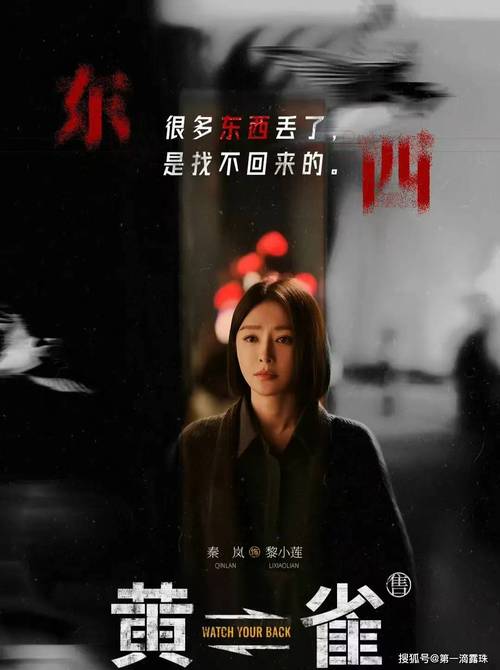 黄雀刑侦剧:郭京飞秦岚主演,悬疑喜剧佳作 黄雀刑侦剧:郭京飞秦岚主演,悬疑喜剧佳作