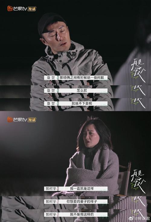 再见爱人:婚姻抉择与情感反思 再见爱人:婚姻抉择与情感反思